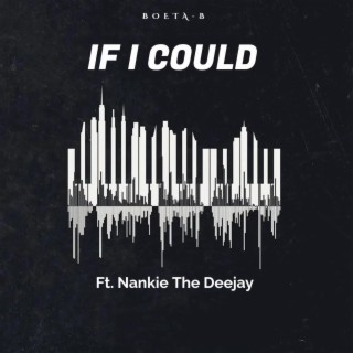 If I Could (Radio Edit)