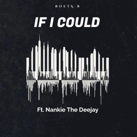 If I Could (Radio Edit) ft. Nankie The Deejay | Boomplay Music