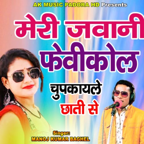 Meri Jwani Fevicoll Balam Chupkaye Le Chhati Se | Boomplay Music