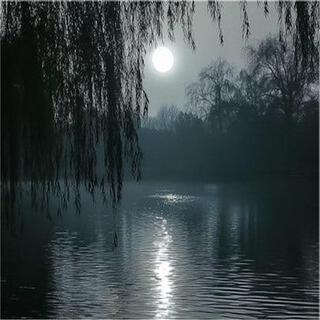 Moonlit Waters