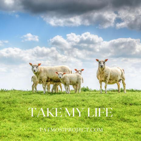 Take my life | Boomplay Music