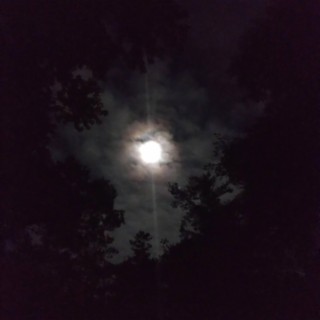 Moon Light