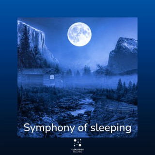 Symphony of sleeping