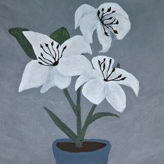 lilies