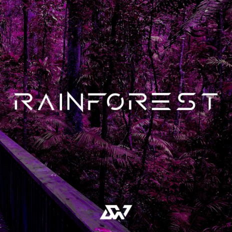 Rainforest