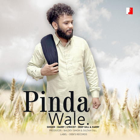 Pinda Wale ft. Sultan Gill | Boomplay Music