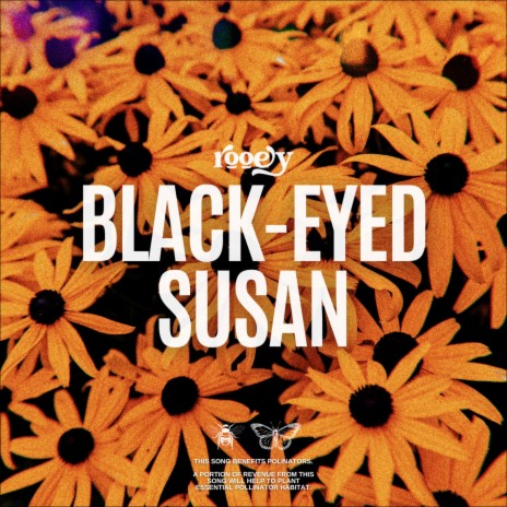 Black-Eyed Susan | Boomplay Music
