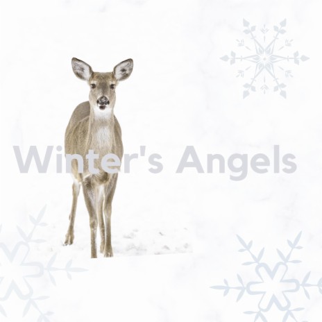 Winter's Angels | Boomplay Music