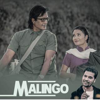 Malingo