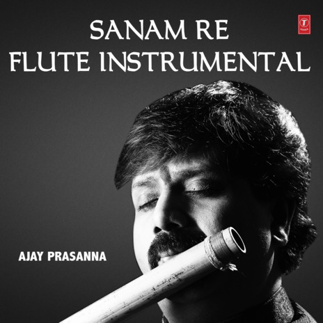 Sanam Re - Flute Instrumental | Boomplay Music