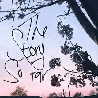 The Story So Far