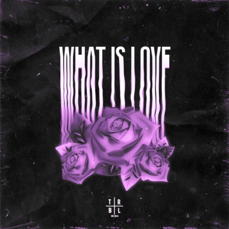 What Is Love | Boomplay Music