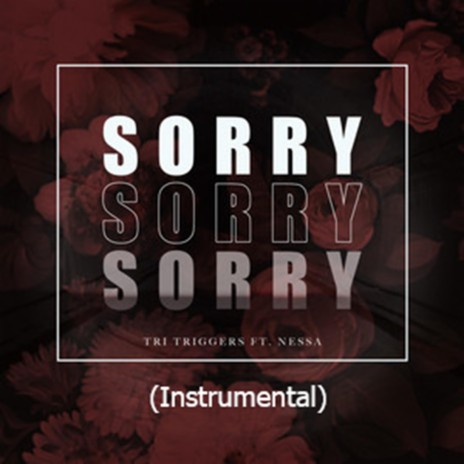 Sorry (Instrumental) | Boomplay Music