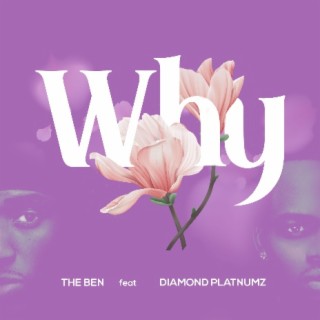 Why ft. Diamond Platnumz lyrics | Boomplay Music