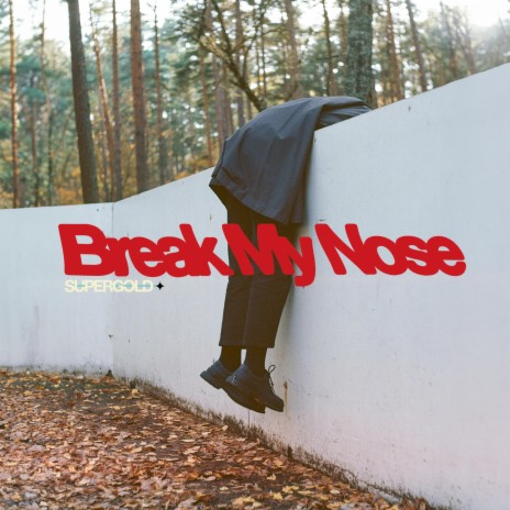 Break My Nose | Boomplay Music