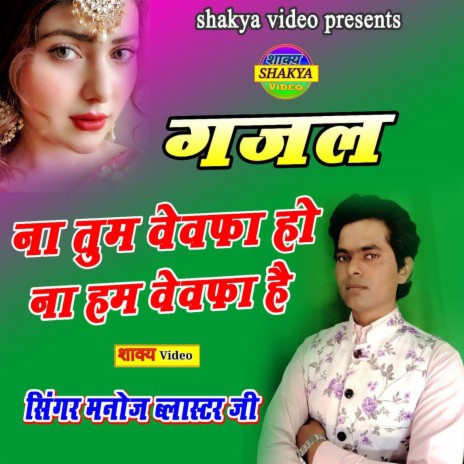 NaTum bewafa Ho Na Ham bewafa hai | Boomplay Music