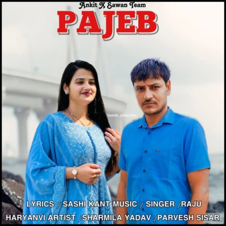 Pajeb | Boomplay Music