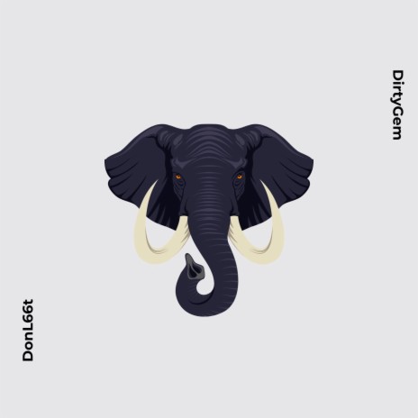 Elephant In The Room | Boomplay Music