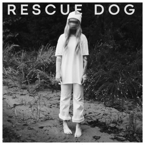 rescue dog