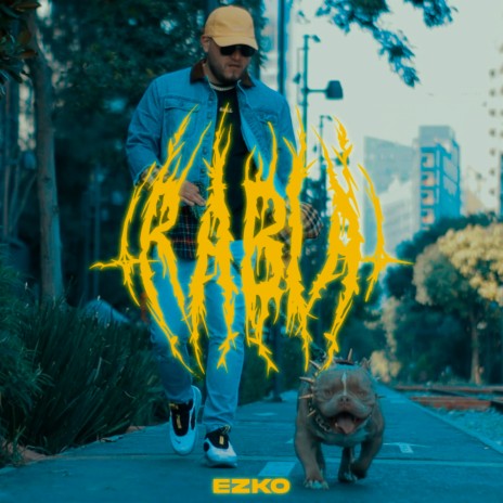 Rabia | Boomplay Music