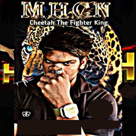 Cheetah The Fighter King | Boomplay Music