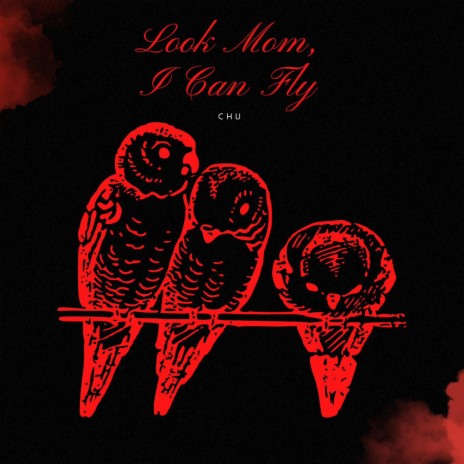 LOOK MOM, I CAN FLY | Boomplay Music