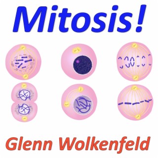 Mitosis!