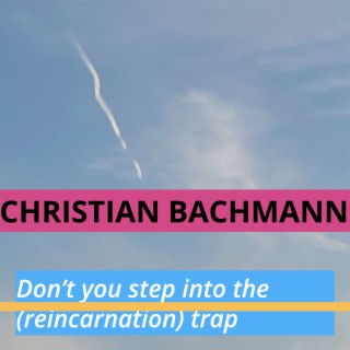 Don't You Step into the (Reincarnation) Trap