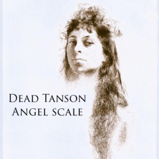 Angel Scale