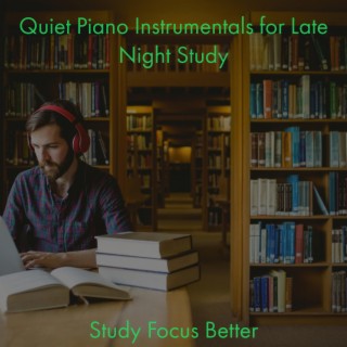 Quiet Piano Instrumentals for Late Night Study