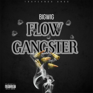 FLOW GANGSTER