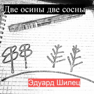 Две осины две сосны