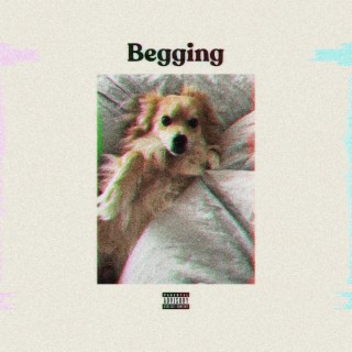 Begging