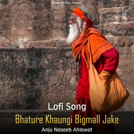 Bhature Khaungi Bigmall Jake - Lofi Song | Boomplay Music