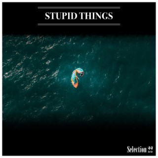 Stupid Things Selection 22