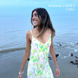 Windows Down lyrics | Boomplay Music