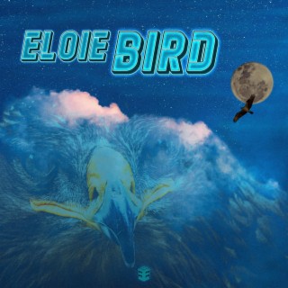 Bird (Radio Edit) lyrics | Boomplay Music