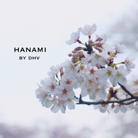 Hanami | Boomplay Music