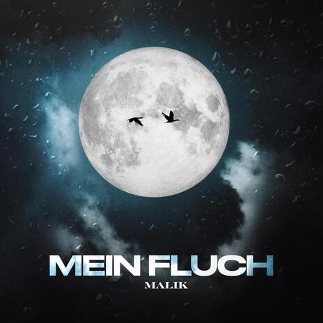 MEIN FLUCH | Boomplay Music