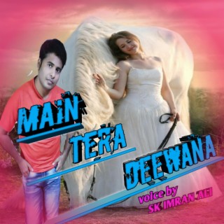 Main Tera Deewana