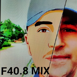 F40.8 Mix