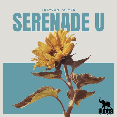 Serenade U | Boomplay Music