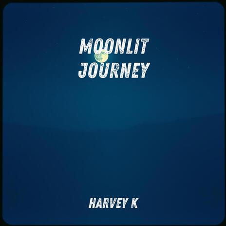 Moonlit Journey | Boomplay Music