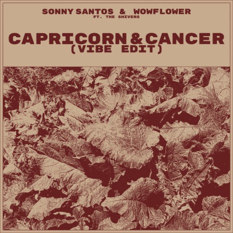 Capricorn & Cancer (vibe edit) ft. wowflower & The Shivers | Boomplay Music