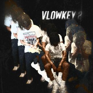 vLowkey 2