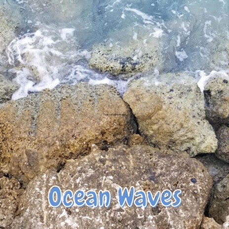 Windy Ocean Waves