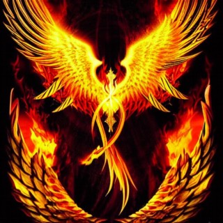 Phoenix Rising