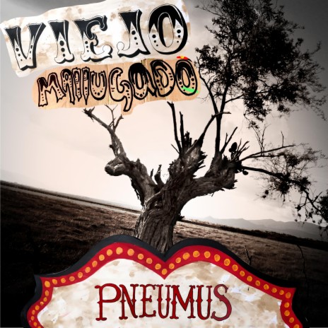 Viejo Mallugado (Live Circus Trip Version) ft. PRIMITIVO TAPES | Boomplay Music