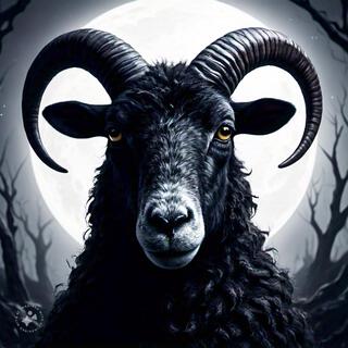 The Black Sheep