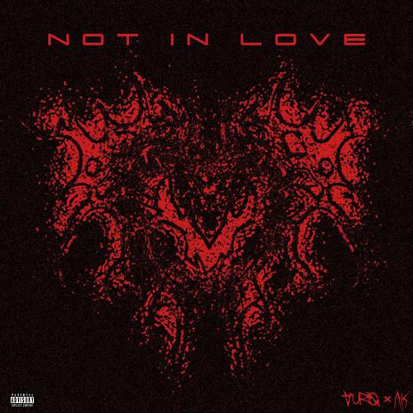 Not in love ft. AK | Boomplay Music